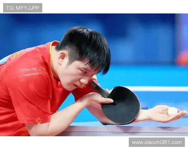 全国锦标赛分析南京乒乓球队的比赛经验与表现亮点 全国锦标赛分析南京乒乓球队的比赛经验与表现亮点