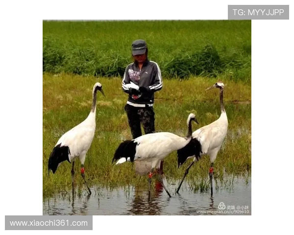 从木匠到足球明星的逆袭之路：追梦旅程与奋斗精神的真实故事